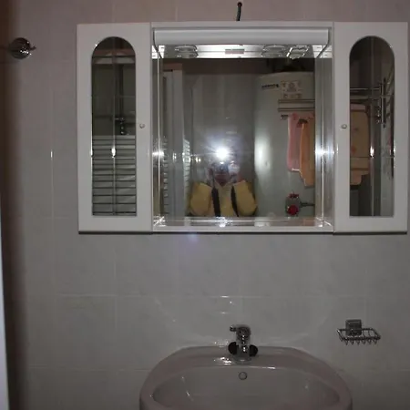 Orwa - Cedrus Koez Zalakaros